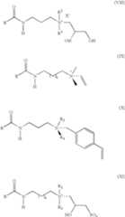 Figure US07358215-20080415-C00008