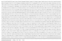 Figure imgf000032_0002