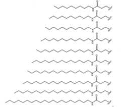 Figure A20068002978801141