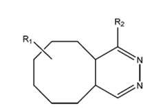 Figure imgf000006_0002