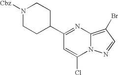 Figure US07119200-20061010-C00640