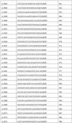 Figure BDA0002356059890001981