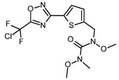 Figure imgf000114_0001