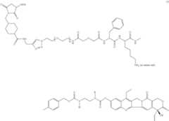 Figure US08420086-20130416-C00006