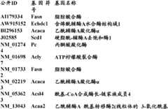 Figure BDA0000057170160002203