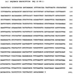 Figure imgf000059_0002