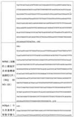 Figure 108128641-A0202-12-0102-950