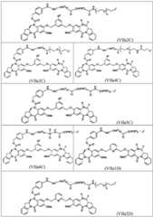 Figure BDA0003285627320000971