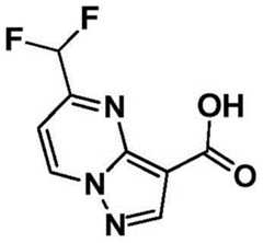 Figure BDA0001702803240006712