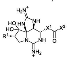 Figure imgf000126_0001