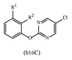 Figure imgf000028_0001