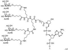 Figure imgf000187_0001