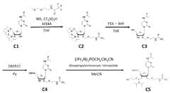 Figure JPOXMLDOC01-appb-C000024