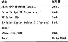 Figure BSA0000182247690000141