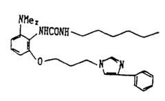 Figure 911091831_IMG20