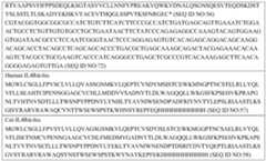 Figure PCTCN2021077784-appb-000025