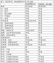 Figure BDA0004086423290000341