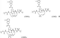 Figure BPA00001530935300041