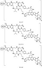 Figure FDA0003674984860000141