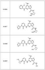 Figure imgf000300_0001