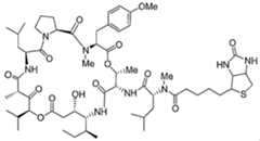 Figure imgf000239_0003