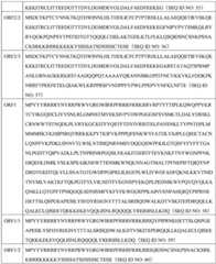 Figure BDA0004078918960000931