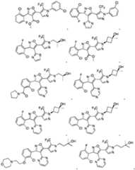 Figure imgf000007_0002