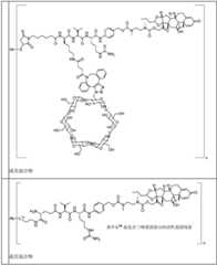 Figure BDA0002889616220001471