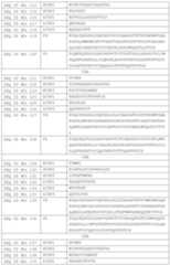 Figure PCTCN2019114818-appb-000020