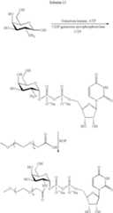 Figure US07297511-20071120-C00109