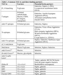 Figure imgf000030_0001