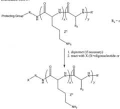 Figure imgf000007_0001