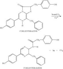 Figure US06436682-20020820-C00004