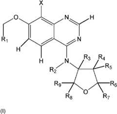 Figure imgf000003_0001