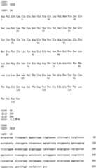 Figure RE-ISB0000195685460000301