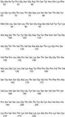 Figure IDA0004177795620000491