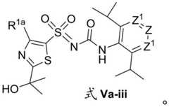 Figure BDA0002935257550002841