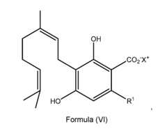 Figure imgf000013_0001