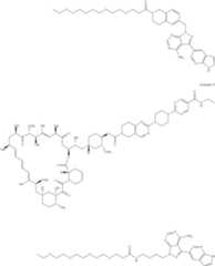 Figure US11364300-20220621-C00340