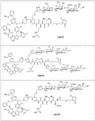 Figure imgf000069_0001