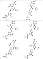 Figure FDA0003122494510000041