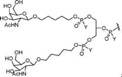 Figure AU2017203436B2_D0101