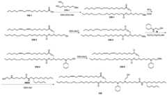 Figure BDA0004181048750004461