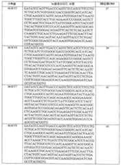 Figure 112007076532217-PCT00014