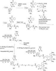 Figure imgf000565_0001