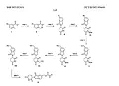 Figure imgf000245_0001