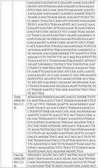 Figure BDA0004033970230005681