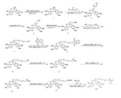 Figure imgf000056_0002