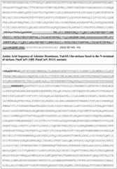 Figure imgf000156_0001