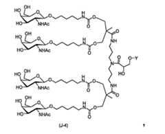Figure 110121932-A0202-12-0021-116